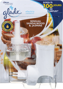 Elektrik baza Glade S.Bali