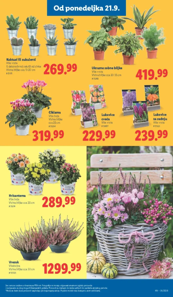 Lidl katalog, strana 59