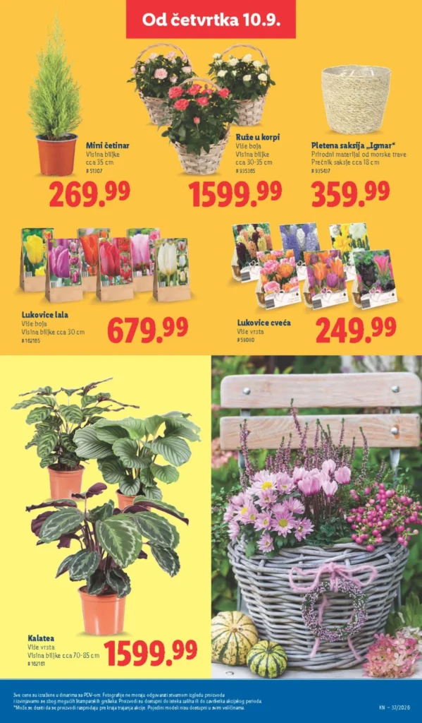 Lidl katalog, strana 60