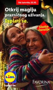 Lidl katalog